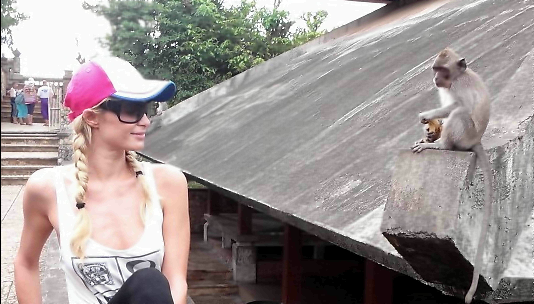 Paris Hilton: In vacanza a Bali, spende 80 euro per sfamare un cane randagio