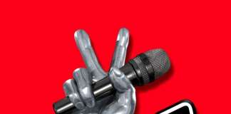 The Voice of Italy: Chi vincerà? Confermata la seconda edizione nel 2014! The Voice,