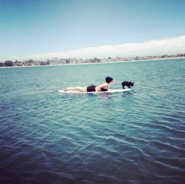 Lady Gaga fa surf con la sua cagnolina