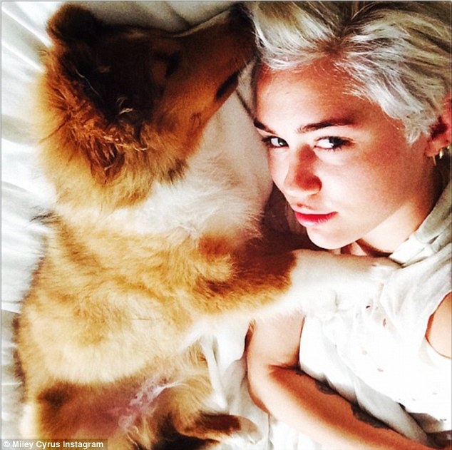 Miley Cyrus e il suo nuovo cane