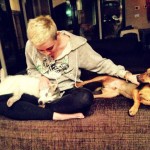 Miley Cyrus con alcuni dei suoi cani