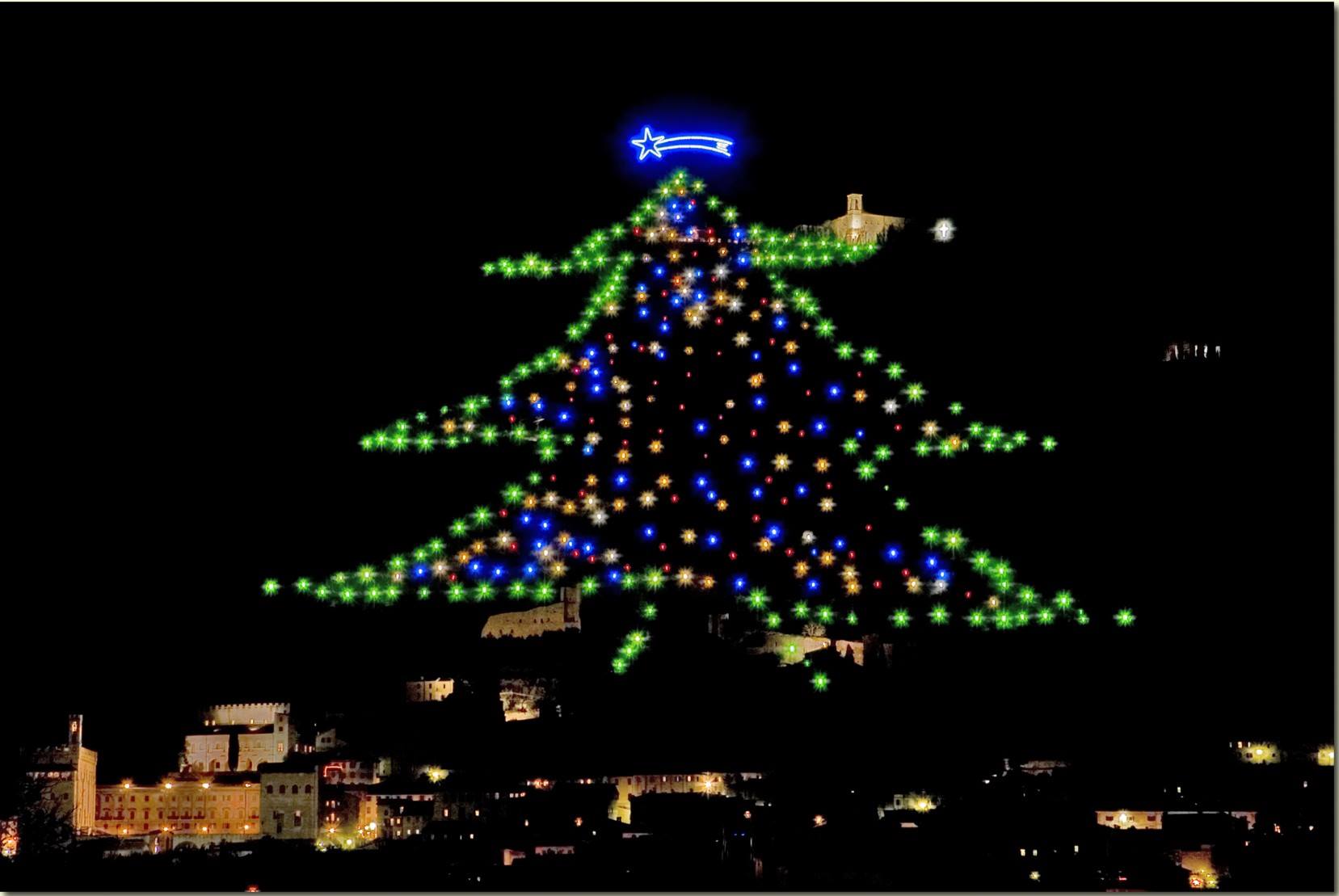 L’albero di Natale più grande del mondo