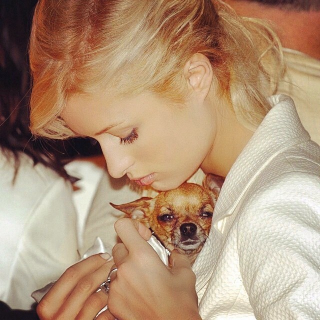 Paris Hilton comunica la morte del suo cane Tinkerbell