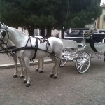 WEdding Mod'Erno Matrimonio: Carrozza con i cavalli