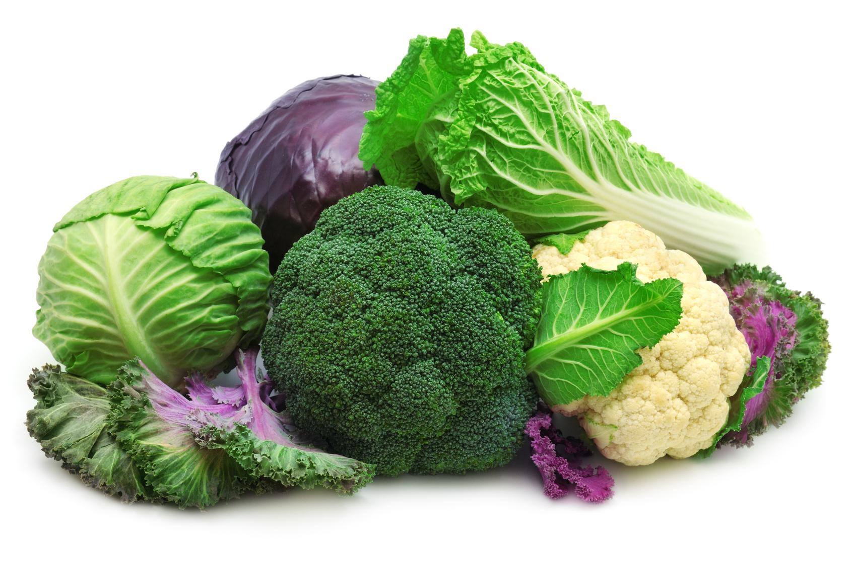 Giovani e belle con i… cavoli I cavoli nella dieta alimentare