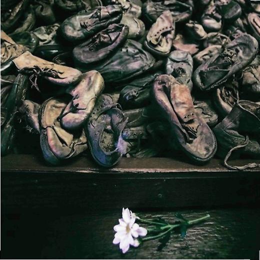 Giornata della memoria: anche i vip ricordano la Shoah sui social Giornata della memoria