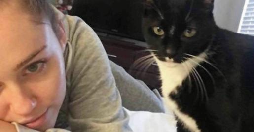 Gossip, Miley Cyrus aggredita dal suo gatto posta le foto con il volto ferito miley cyrus
