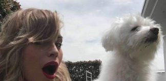 Gossip news, Elenoire Casalegno sexy in bikini: intanto sì prepara al Grande Fratello Vip Elenoire Casalegno, grande fratello vip, gossip news,