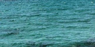 Gossip news, Caterina Balivo in bikini verso nuovi orizzonti Caterina Balivo in bikini all'Argentario: le foto