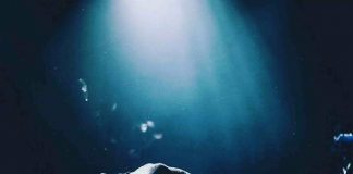 Selena Gomez è la star più amata sui social network selena gomez instagram, selena gomez news, selena gomez notizie, selena gomez gossip, gossip news, news, selena gomez social network, selena gomez nuovo singolo,