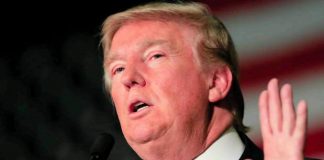 Donald Trump: “Quando sei una star le donne ti lasciano fare tutto” Donald Trump, gossip news,