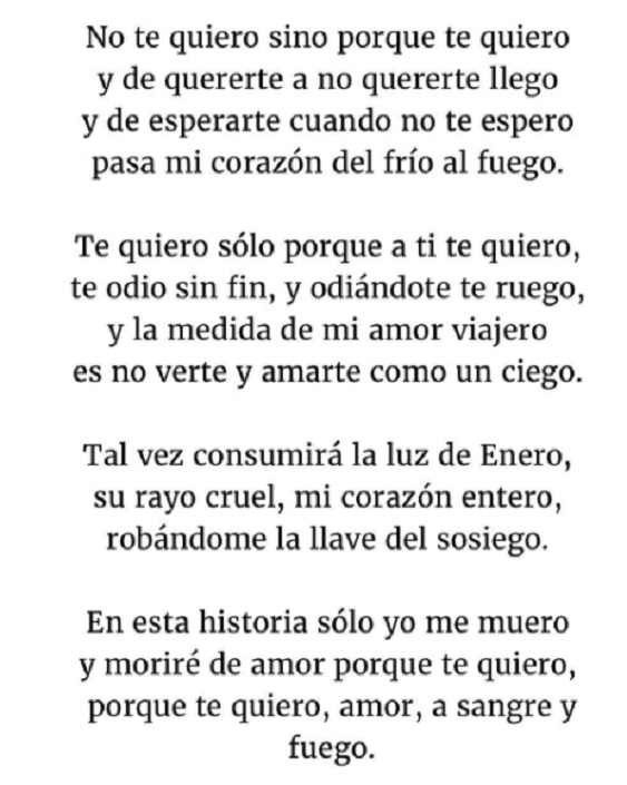 Poesia Pablo Neruda Stefano De Martino Instagram