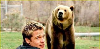 C’è chi dice no! Brad Pitt due di picche da Jennifer Aniston