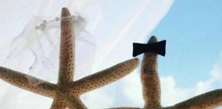 Veronica Maya matrimonio ai Caraibi con Marco Moraci: le foto dal paradiso