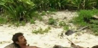 Cosa è successo a Moreno sull’Isola dei famosi 2017? Niente di grave! Moreno, Isola dei famosi 2017,