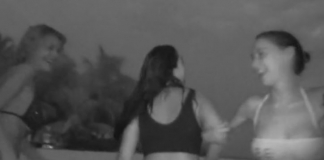 Isola dei famosi 2017, Eva Grimaldi a Malena: “Gliel’hai data…” Isola dei famosi 2017, Isola dei famosi, gossip,