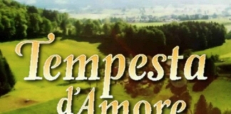 Tempesta D’amore Anticipazioni Aprile 2017, puntate dal 23 al 29 Tempesta d'amore, anticipazioni delle puntate dal 29 ottobre al 4 novembre