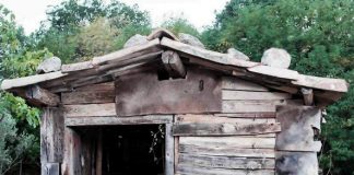 Gossip: L’Isola di Gianni Sperti, naufrago in cerca dell’anima gemella Gossip news, gossip, Gianni Sperti, Isola, Notizie gossip,
