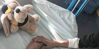 Francesca Barra ricoverata in ospedale col figlio, con loro Claudio Santamaria francesca barra, ricoverata, ospedale, figlio, francesca barra in ospedale, francesca barra ricoverata,