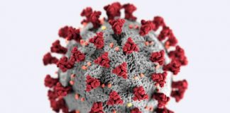 Covid e Giacobbo: «Sono stato in rianimazione per il Coronavirus» Covid news, Covid e ricerca scientifica,