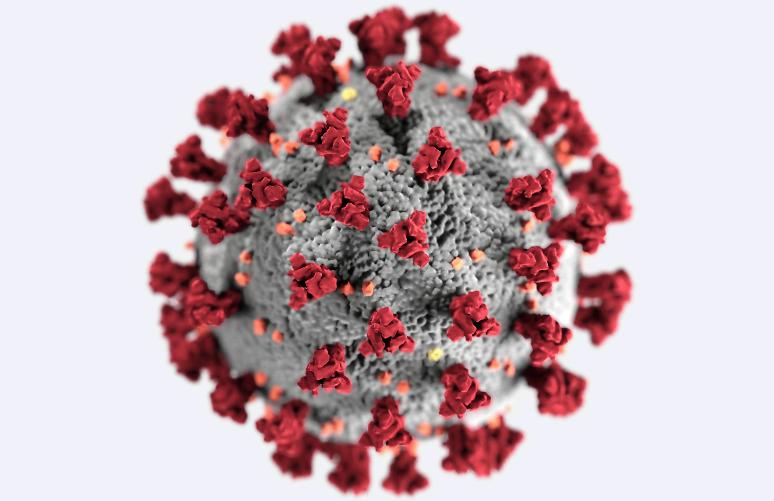 Coronavirus ultime notizie: chiuse scuole, università e stadi fino al 15 marzo,FIGC, coronavirus scuole chiuse,
