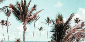 Gossip Pechino Express: Soleil scherza sul Coronavirus e scatena le polemiche soleil pechino express 2020 soleil stasi coronavirus