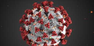 Coronavirus: a che punto siamo con il vaccino? Pio Conti dice la sua