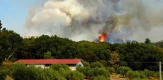 Incendio all’Is Morus Relais, paura a Temptation Island Incendio all'is morus relais, Temptation island