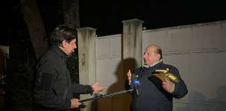 Striscia la notizia, «Tapiro d’oro» a Giancarlo Magalli «Tapiro d’oro»